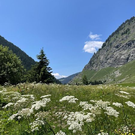T2 Vue Sur Le Parc De La Vanoise La Plagne Εξωτερικό φωτογραφία
