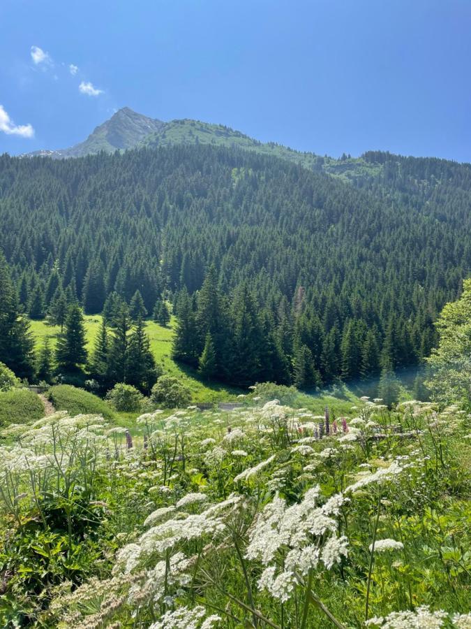 T2 Vue Sur Le Parc De La Vanoise La Plagne Εξωτερικό φωτογραφία