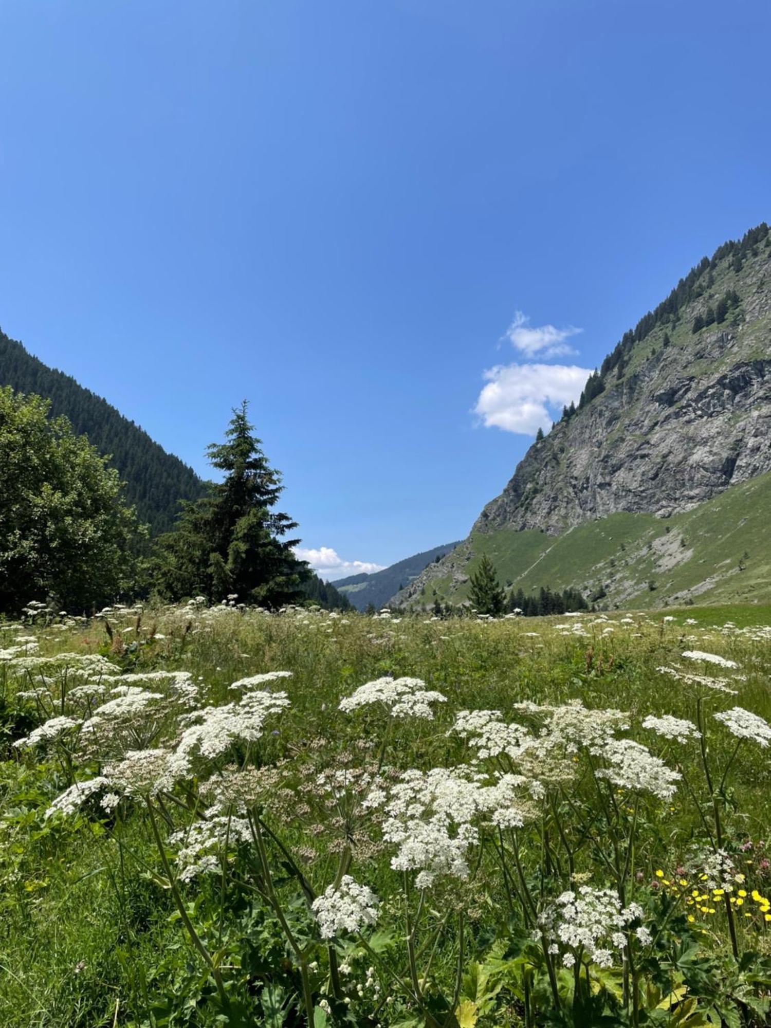 T2 Vue Sur Le Parc De La Vanoise La Plagne Εξωτερικό φωτογραφία